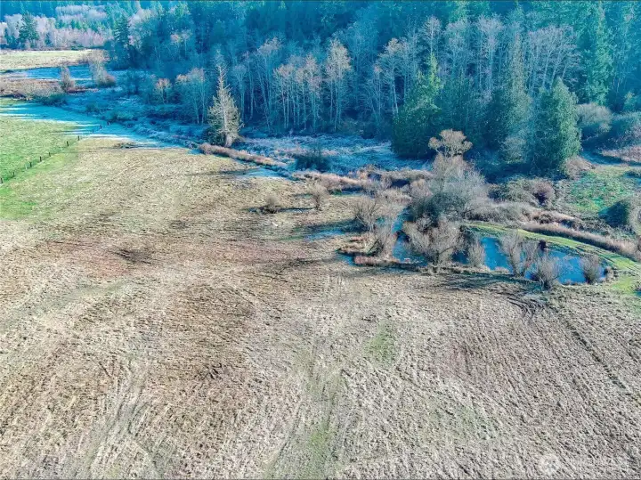 Chimacum Creek flows thru the site that features both a duck pond and a beaver pond.