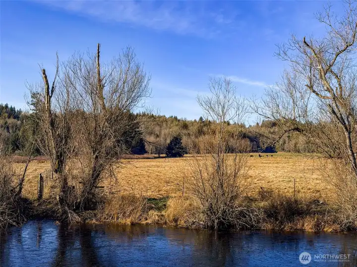 The field is already fully fenced for animals a boundaries.