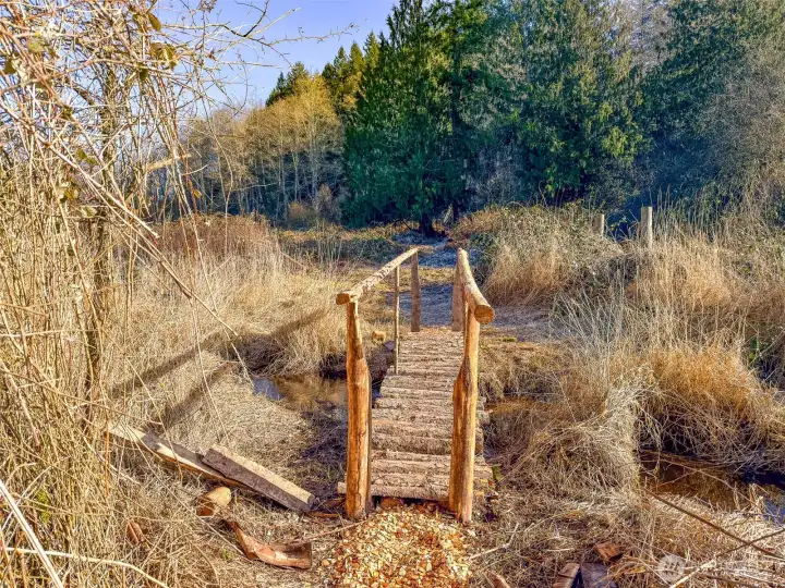 Bridge for crossing the creek and watching the bird life.