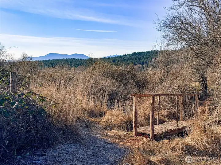 Olympic Mtn views from several vantage points.