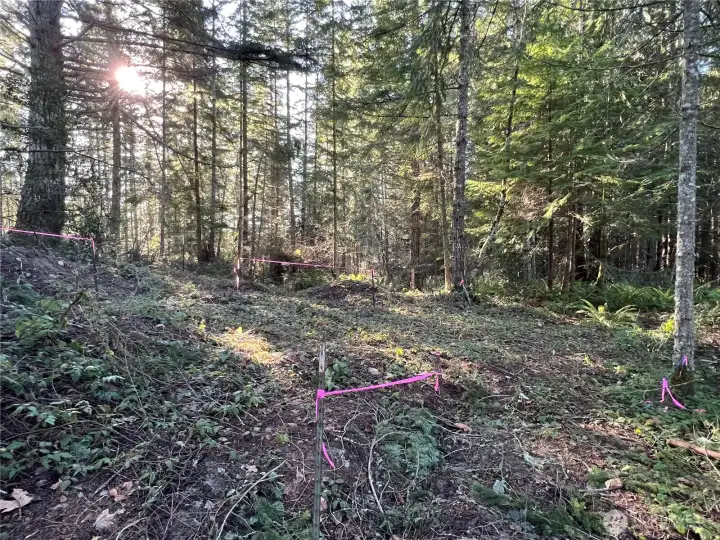 Perc holes still open for permitting.