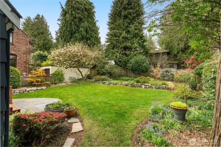 Park like setting with 4-season interest. Snowbell, Japanese maples, Azaleas, Camelias, Magnolias, Dogwood, Smoke Bush, Rhododendron, Cedar, herb garden, Hellebores, Salal, Daphne, Hosta, Hoya vine, Trillium, leather tree...phew...so many great plants