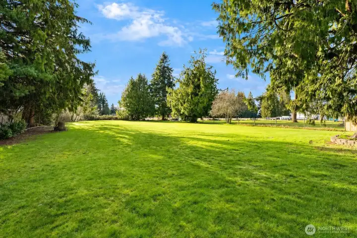 Expansive Backyard Expansive Backyard