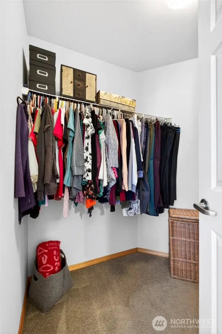Your primary bedroom has a walk-in closet.