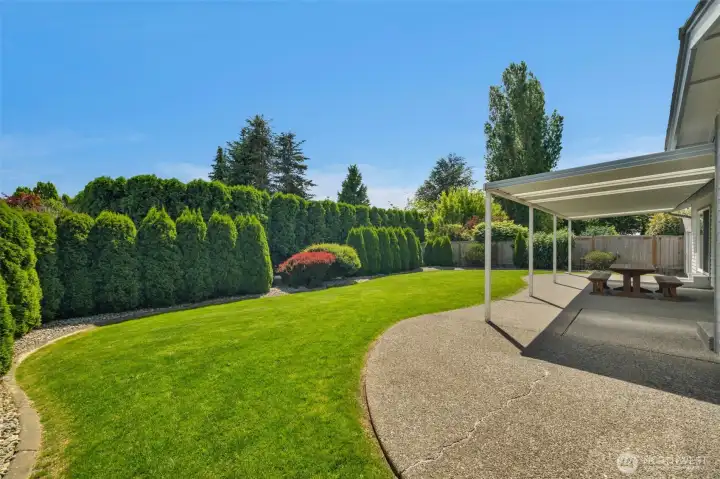 New grass and landscaping