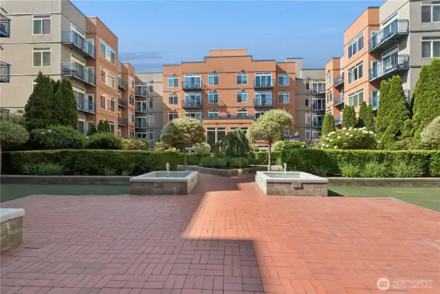 Garden between buildings