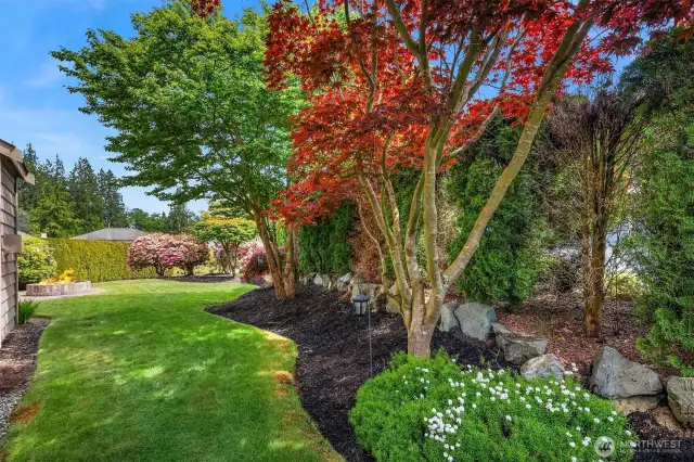 Mature Landscaping