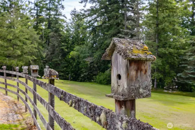 One of several birdhouses that are homes to frequent fliers.