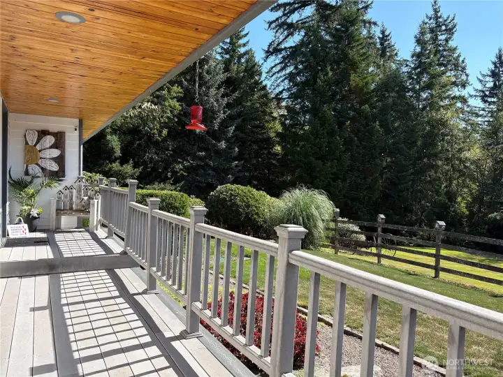 Covered Front Porch Looking onto peaceful front yard where nature frequently visits.