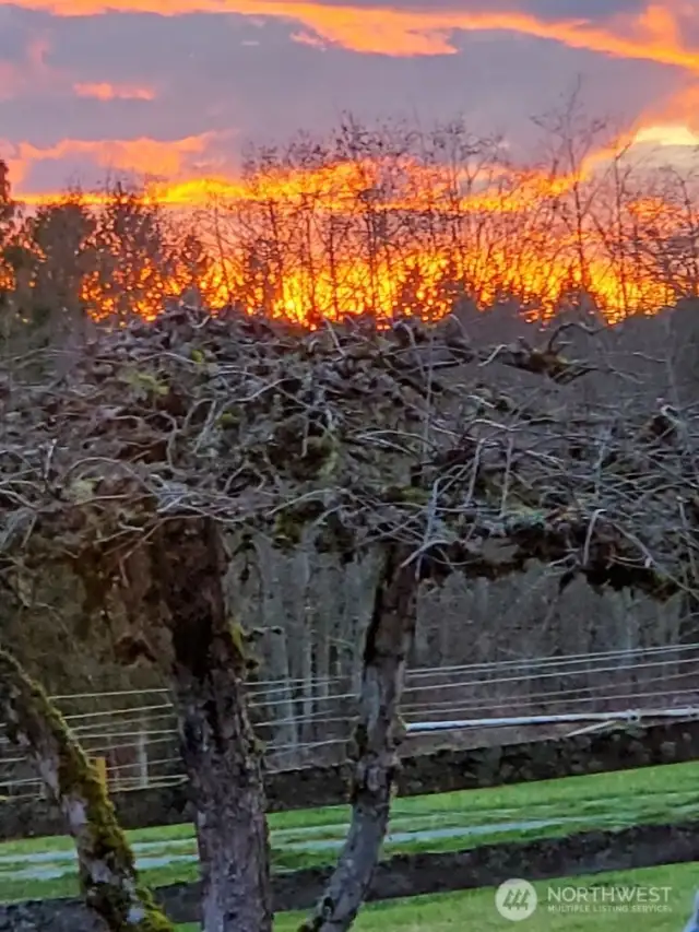Stunning Sunset.