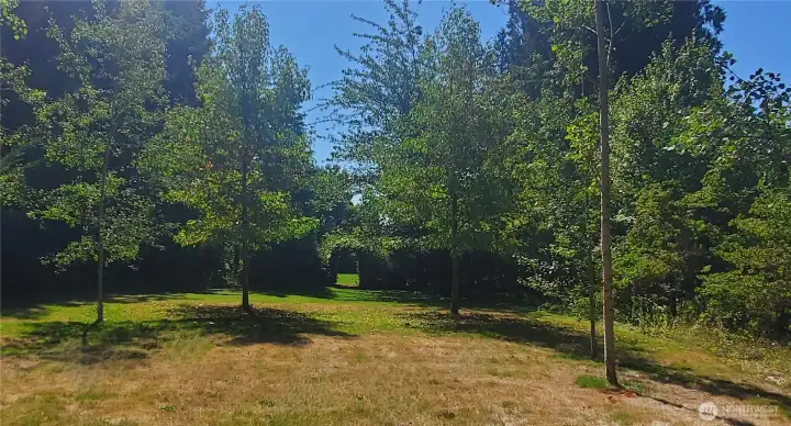 second lawn looking back
