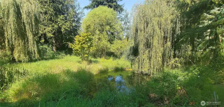pond with island
