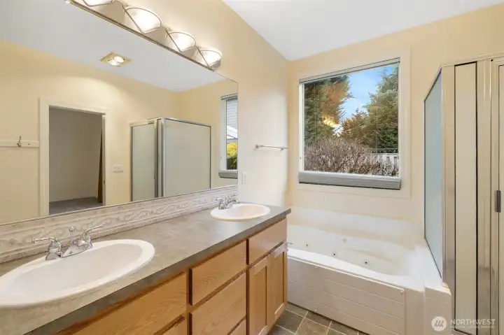 Primary Suite bathroom-double sinks