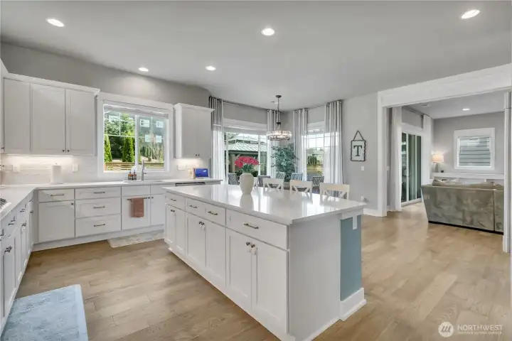 Expansive kitchen island ideal for entertaining and everyday use. Open sightlines from kitchen to main living areas.