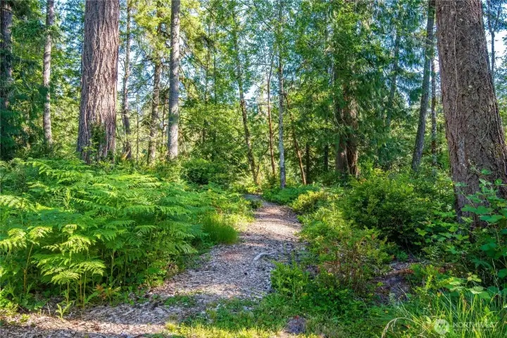Trail to your waterfront