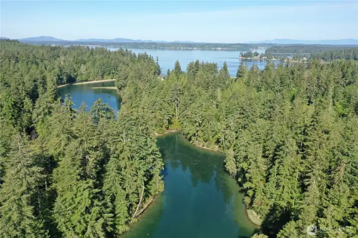 Elevated aerial view showcasing surrounding shoreline and forest.