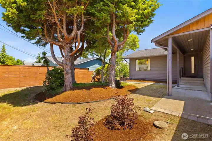 Pretty yard with newer fence. Pretty yard with newer fence.