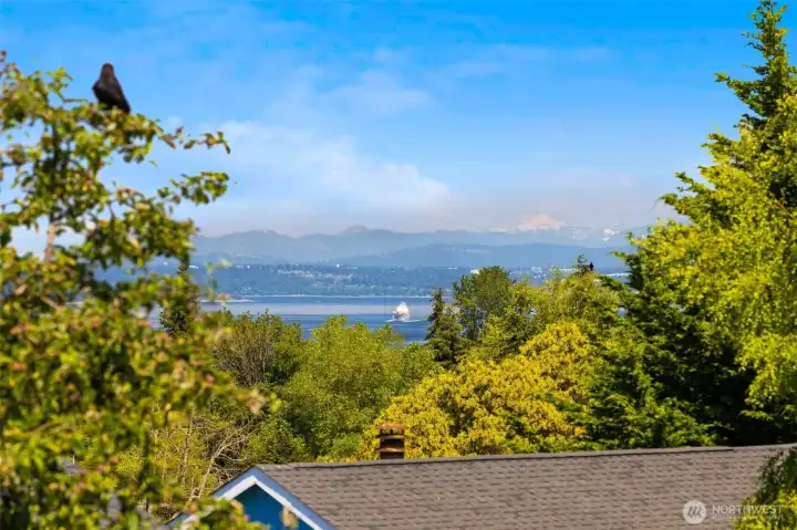 View from the deck! View from the deck!