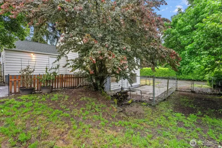 Fenced outdoor area with mature trees, established landscaping, and room to enjoy outdoor activities.