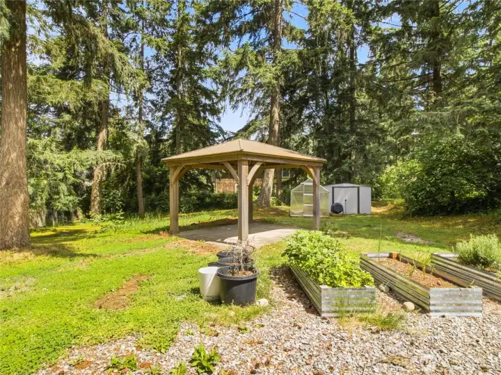 Oversized Backyard