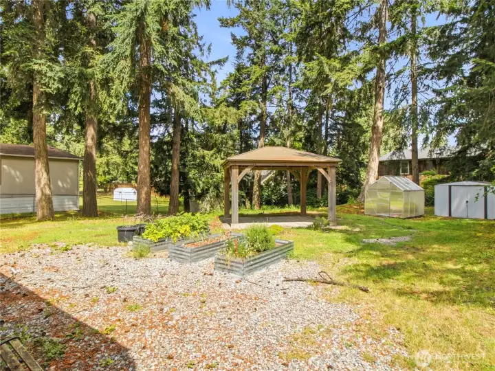 Oversized back yard, 3 garden beds, Gazebo, Green house and shed