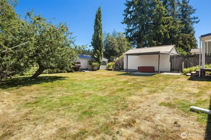 Spacious backyard.