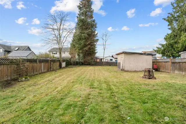 Another view of the spacious backyard