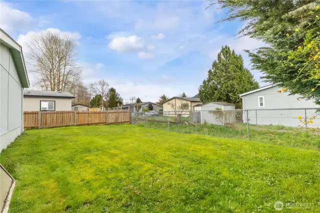 Fenced backyard