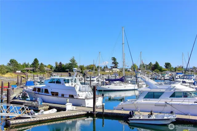 BBV Marina
