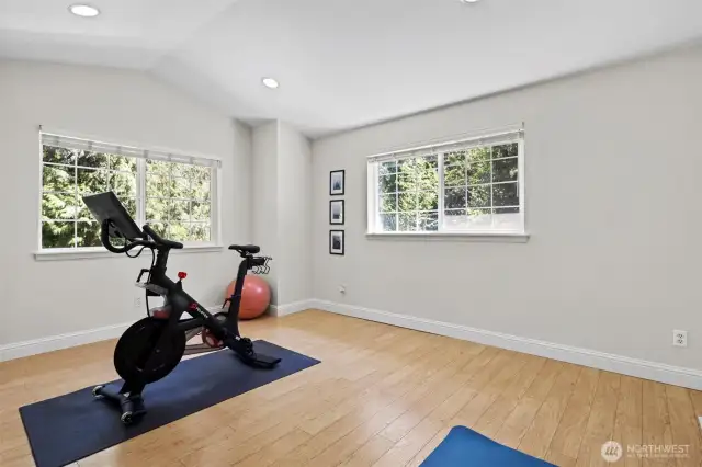 Large Bonus Room