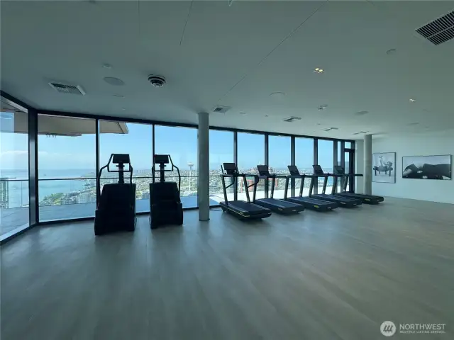 Endorphins from workout and panoramic views of Seattle