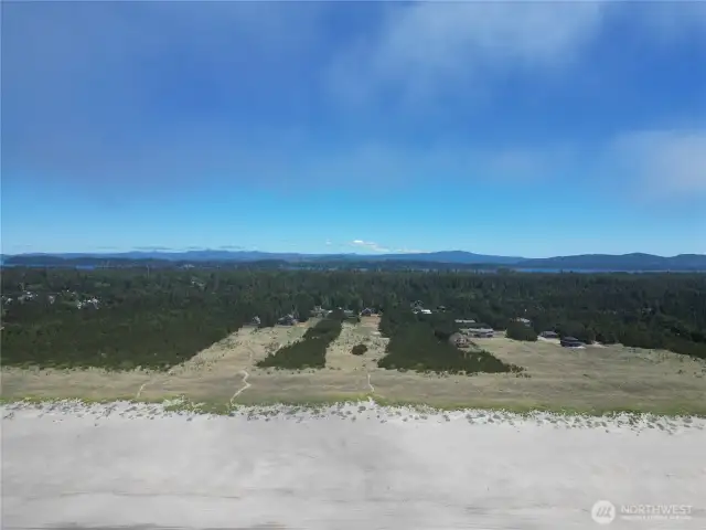 Come spend time at the beach!