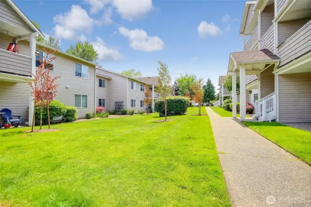 Huge open spaces to have a picnic or gathering outside