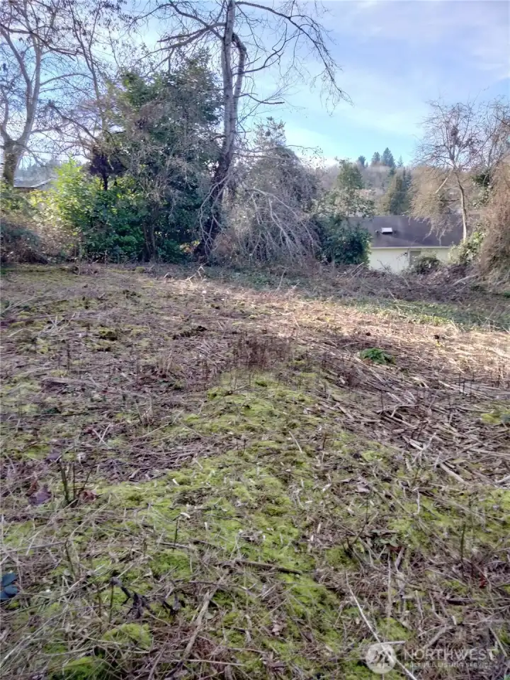 Raw land has rolling surface