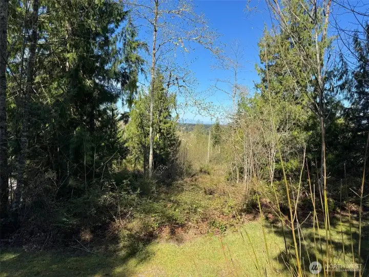 View from SE Corner of lot