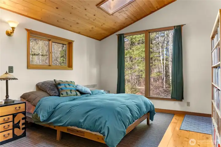 A large picture window opens up to a mature aspen grove.