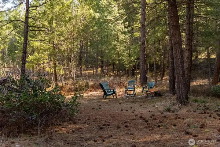 A very large fenced garden is calling for a green thumb!