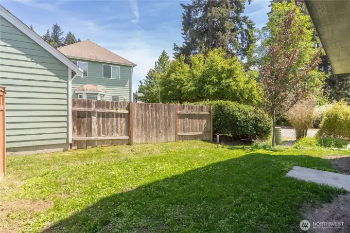 Back yard