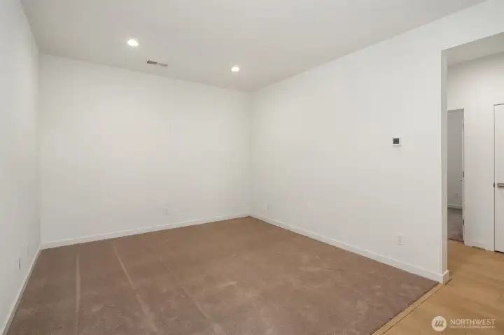 Lower level flex room