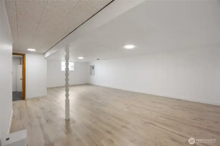 Huge Bonus Space in Basement Huge Bonus Space in Basement