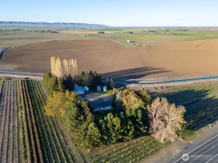 6.5 acre Berry Farm, centrally located