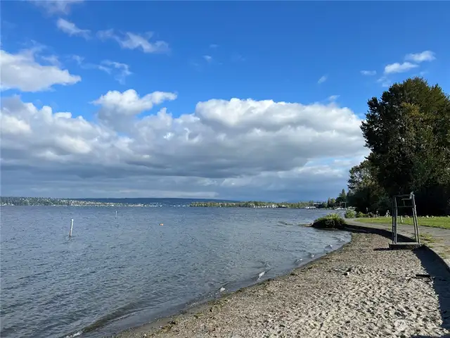 Matthews Beach  public Park - swimming, playground, relaxation - all minutes away from home on foot utilizing Burke Gilman trail.