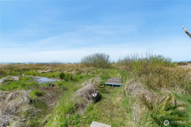 Trail to the beach