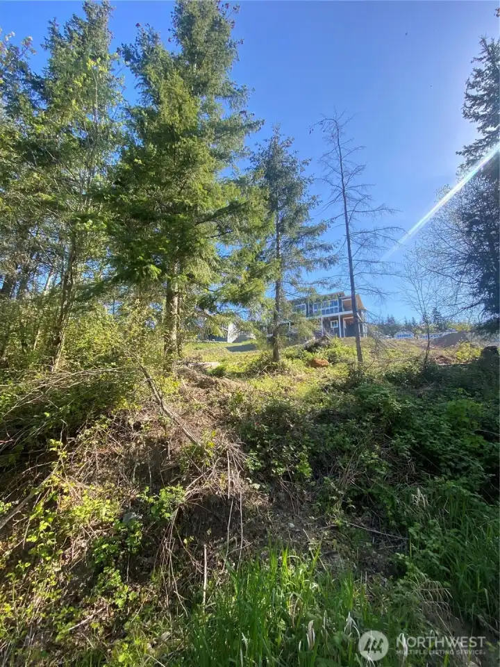 Picture taken from the southwest corner of the one acre property Picture taken from the southwest corner of the one acre property