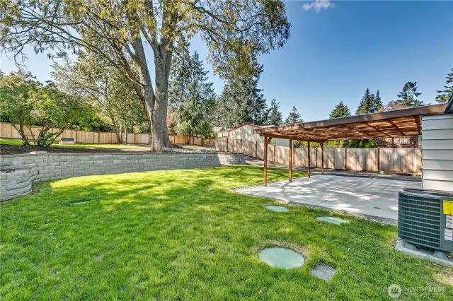 Huge backyard