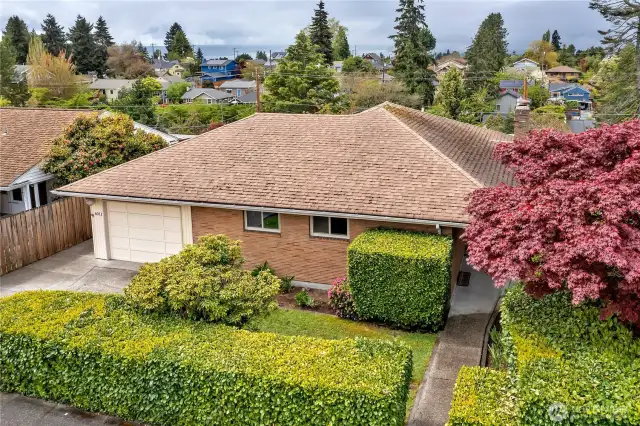 1950's Mid-Century Brink West Seattle Single Story w/Daylight Basement
