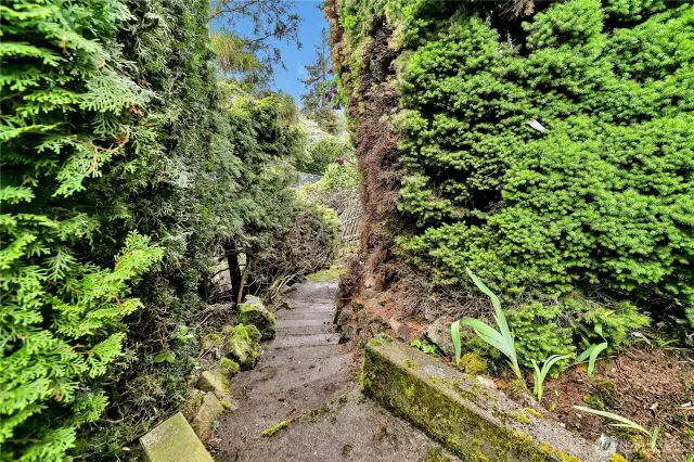 Stone steps lead to the lower half of the yard.
