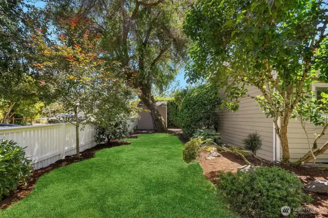 Mature trees and even an apple tree