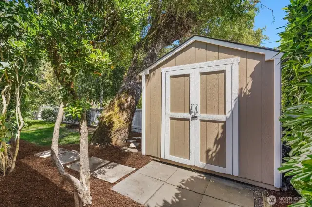 Garden shed for tools and storage