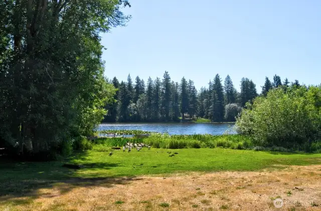 Community Lake Access w/ Dock